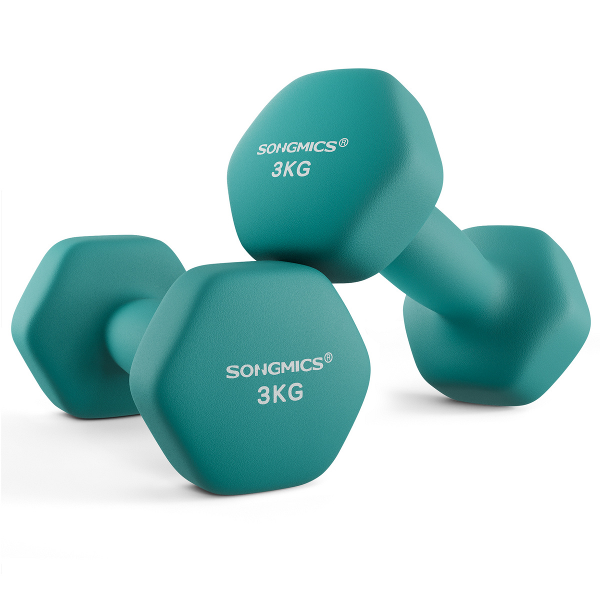 SONGMICS manualer, 2-pakning, 2 × 3 kg, blågrønn