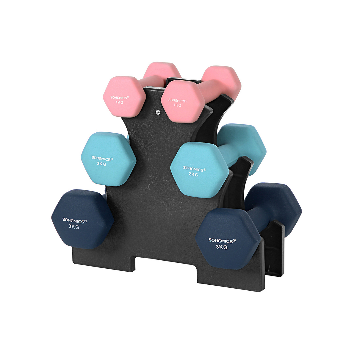 Songmics manualer, 2 × 1/2/3 kg, rosa/aqua/blå, SYL612MK