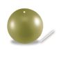 Eco Body Pilates Ball