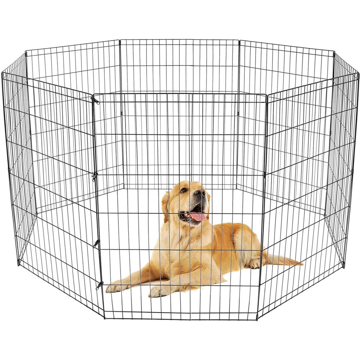 Trekker Valpebinge M, 8-Panel 61x76cm