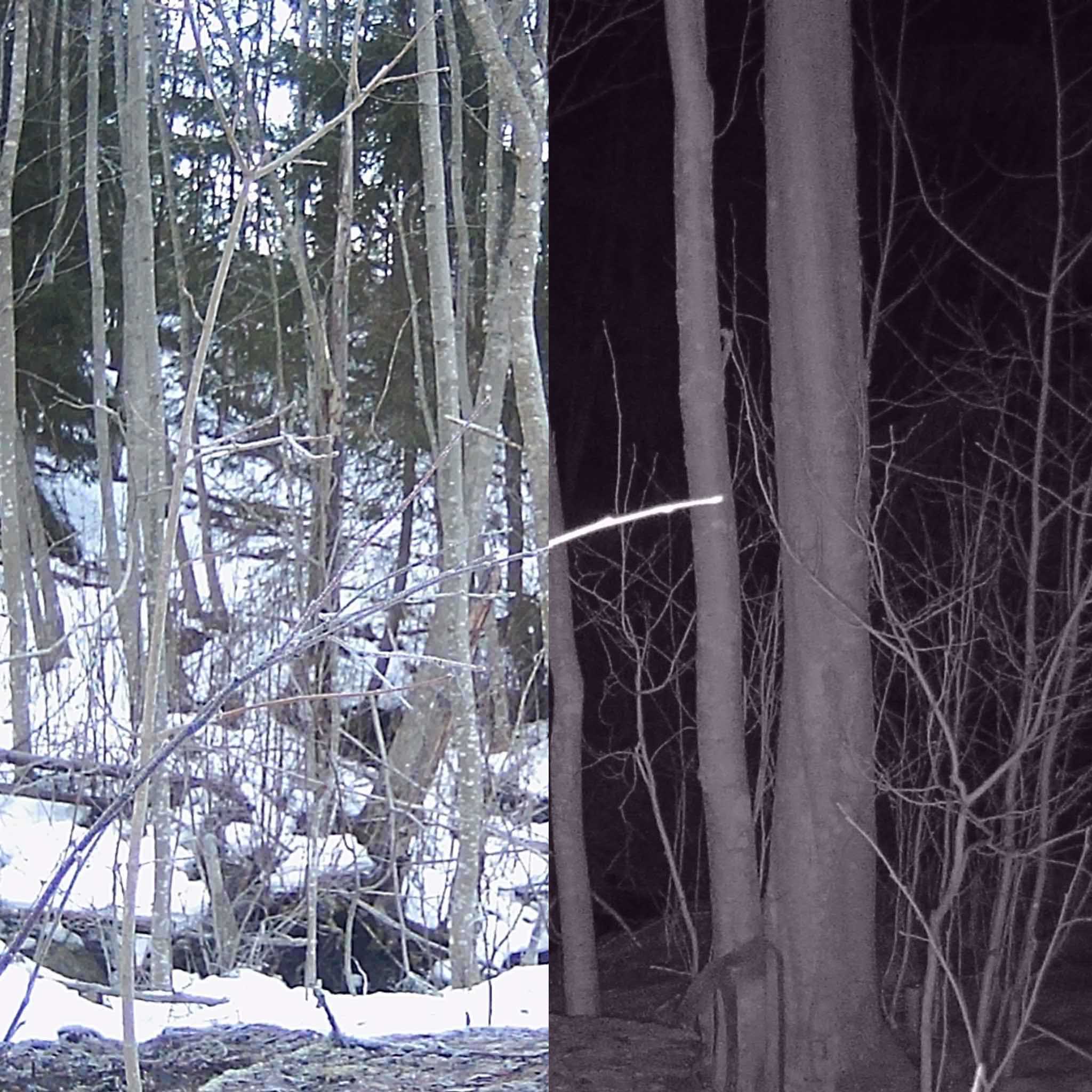 Trekker 5 x Viltkamera/Jaktkamera Sett Sender 2G