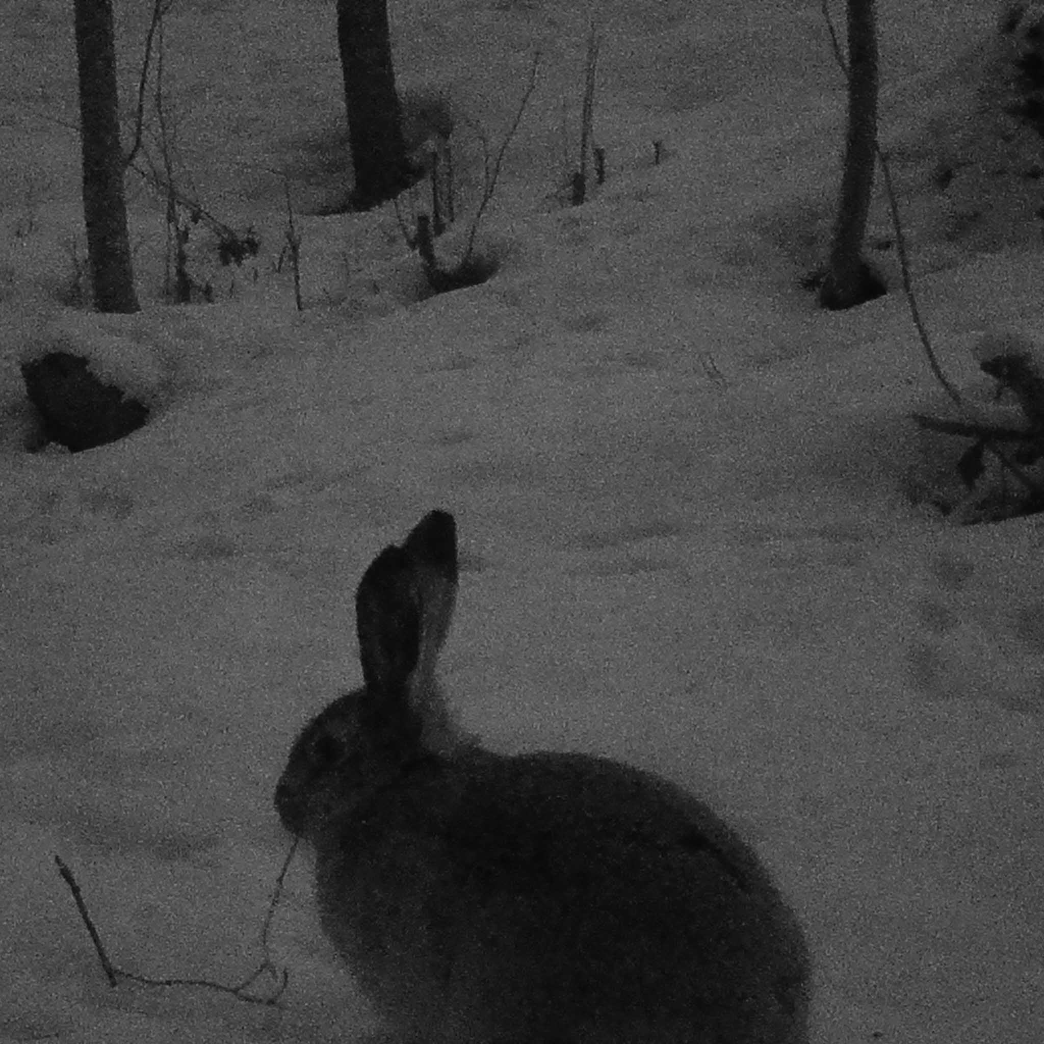 Trekker Viltkamera Sender 2G Premium